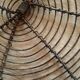Round flat pie rack vintage wire