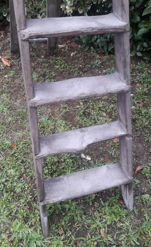 Artisan wooden ladder 6 steps