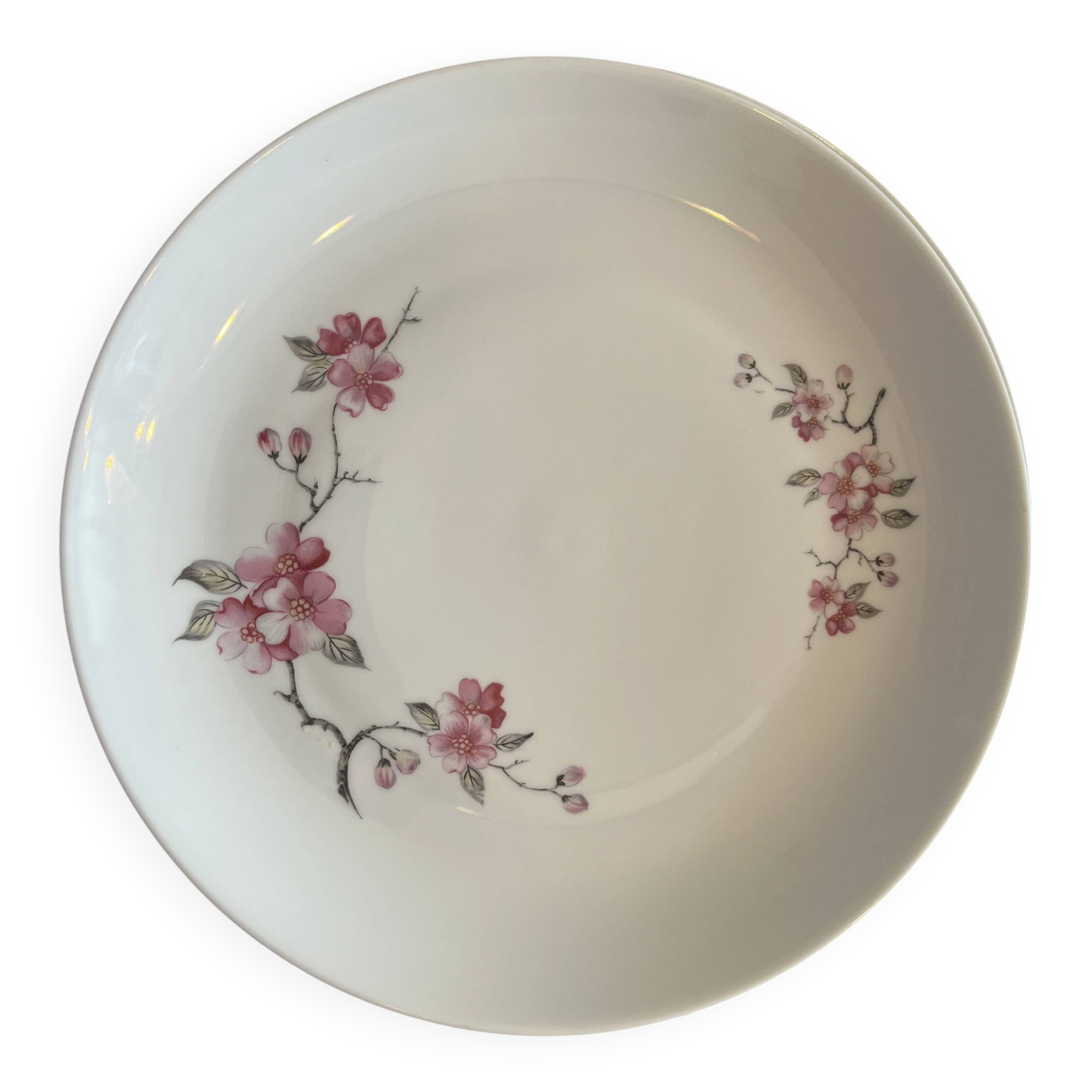 dinner plates