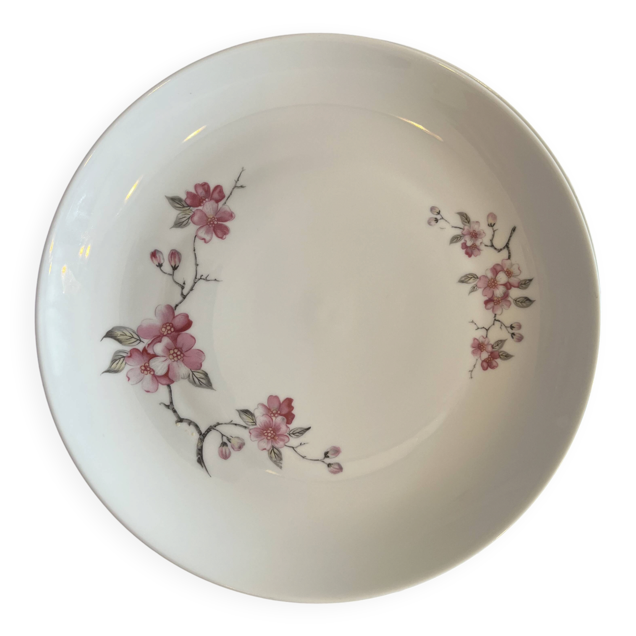 dinner plates