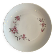 dinner plates