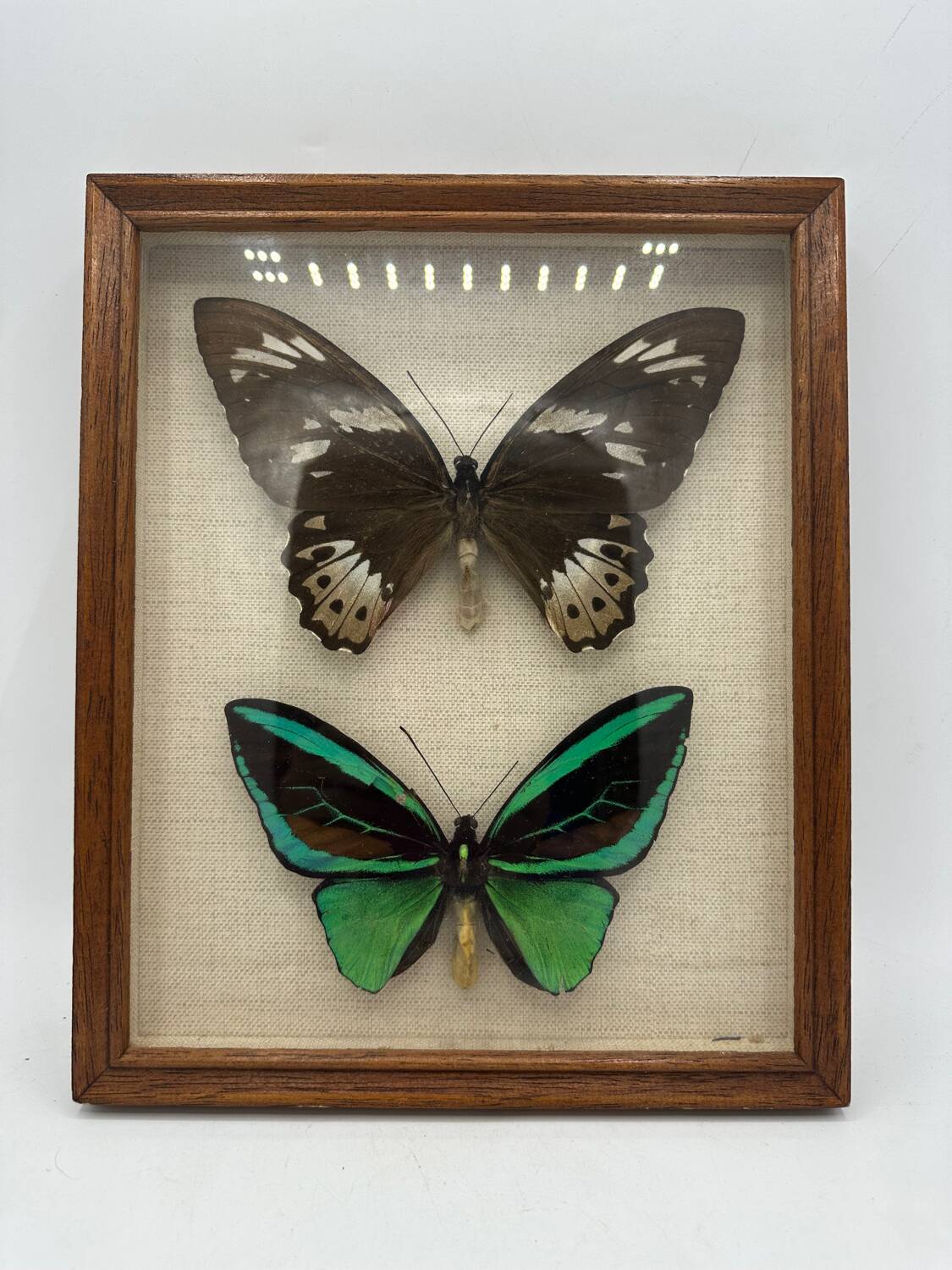 Vintage butterflies frame