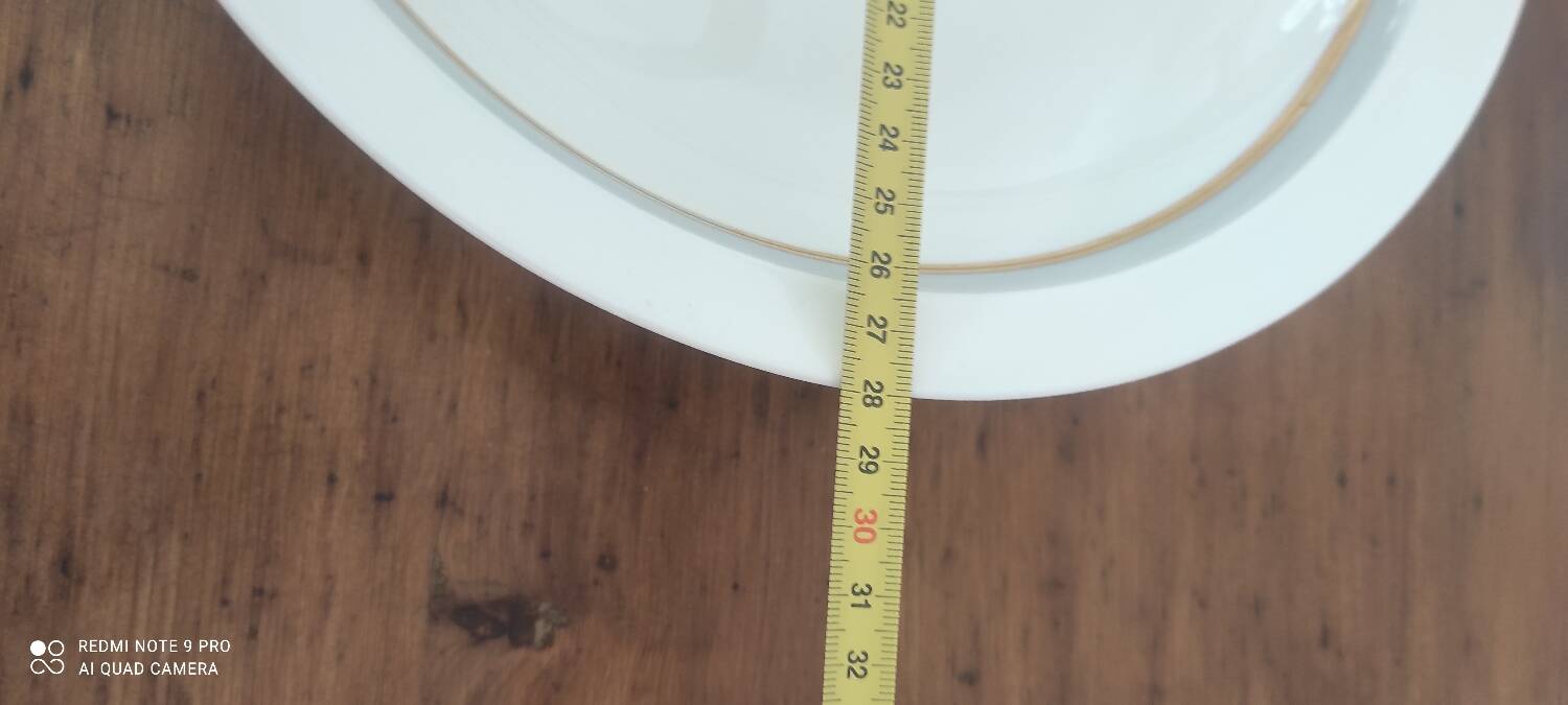 Dishware Service Raynaud et Cie Limoges