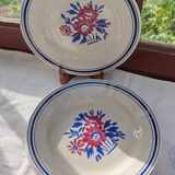 6 Salsola flat plates