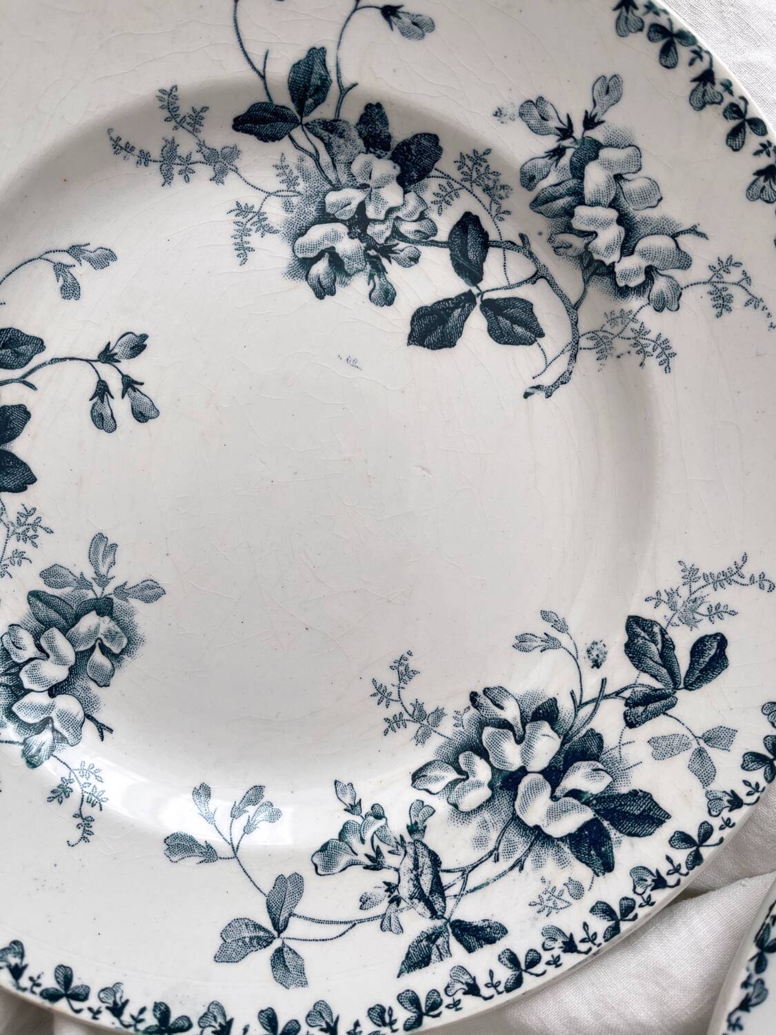 10 assiettes plates en terre de fer « Acacia » Moulin des Loups et Hamage