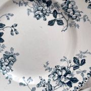 10 flat plates in iron earth “Acacia” Moulin des Loups and Hamage