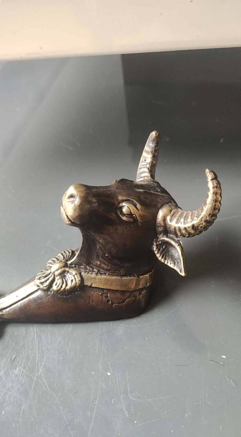 Bronze patinated metal bull wall hook