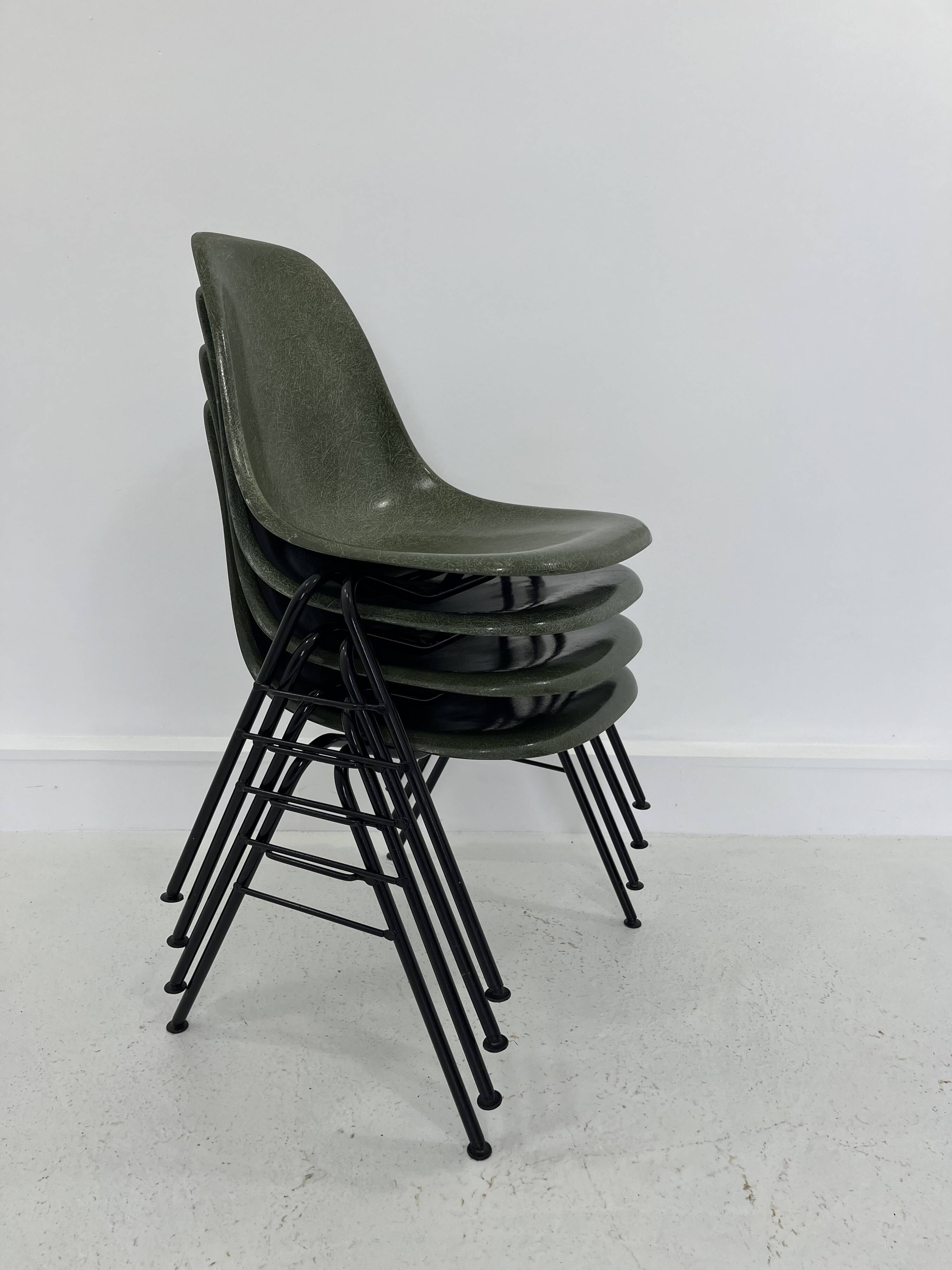 Fiberglass DSS Stacking Chairs by Ray & Charles Eames for Herman Miller, 19