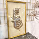 Ancient herbarium – Fern under glass