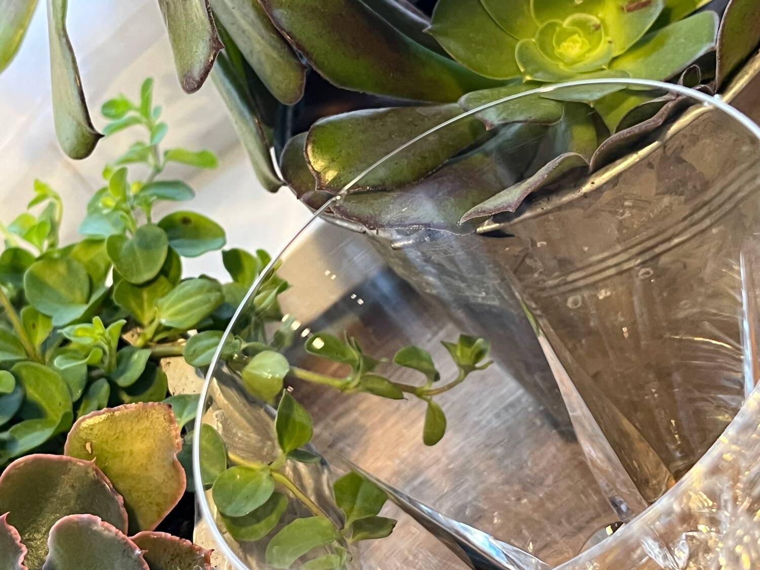 Villeroy Boch Concorde glassware set