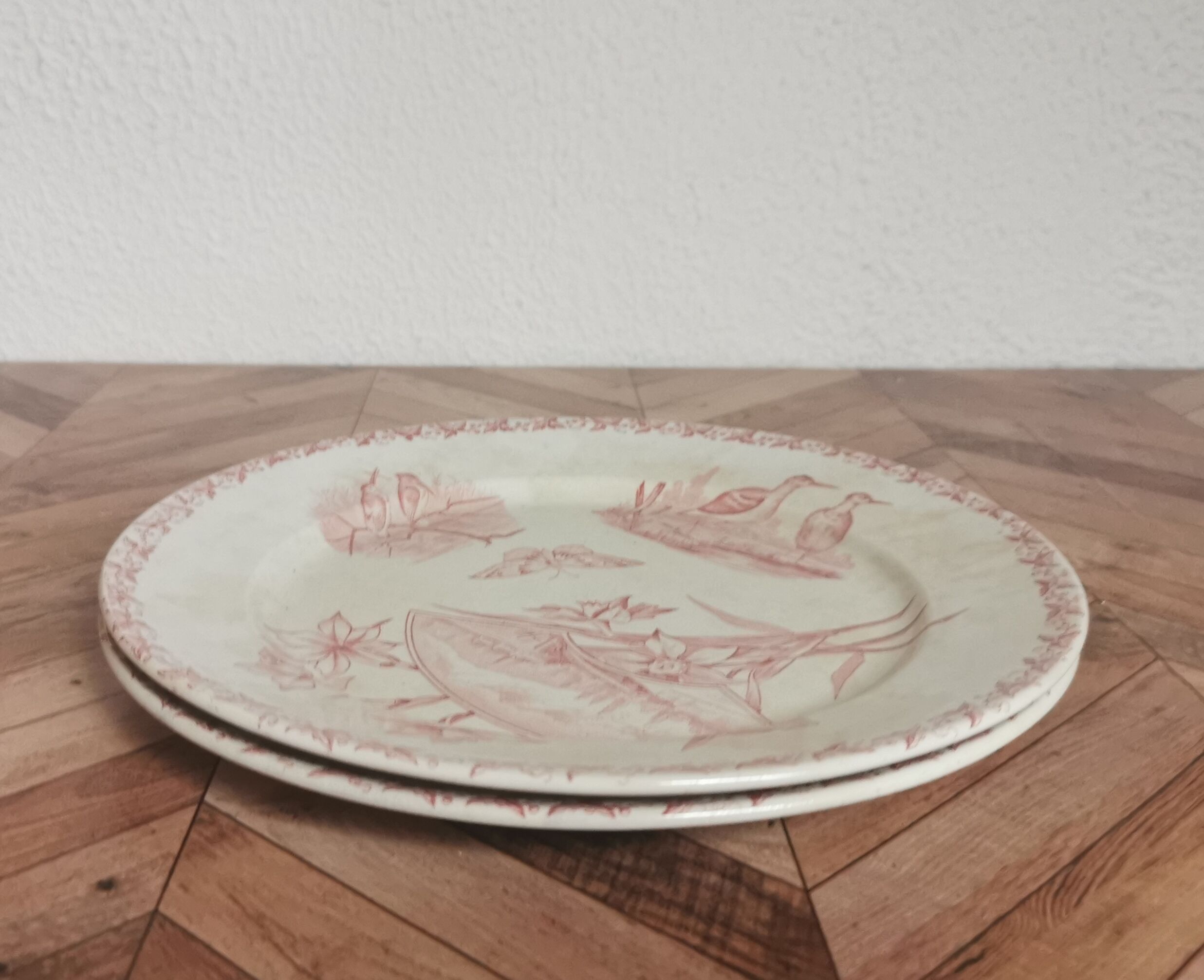 Old plates badonvillier Screen