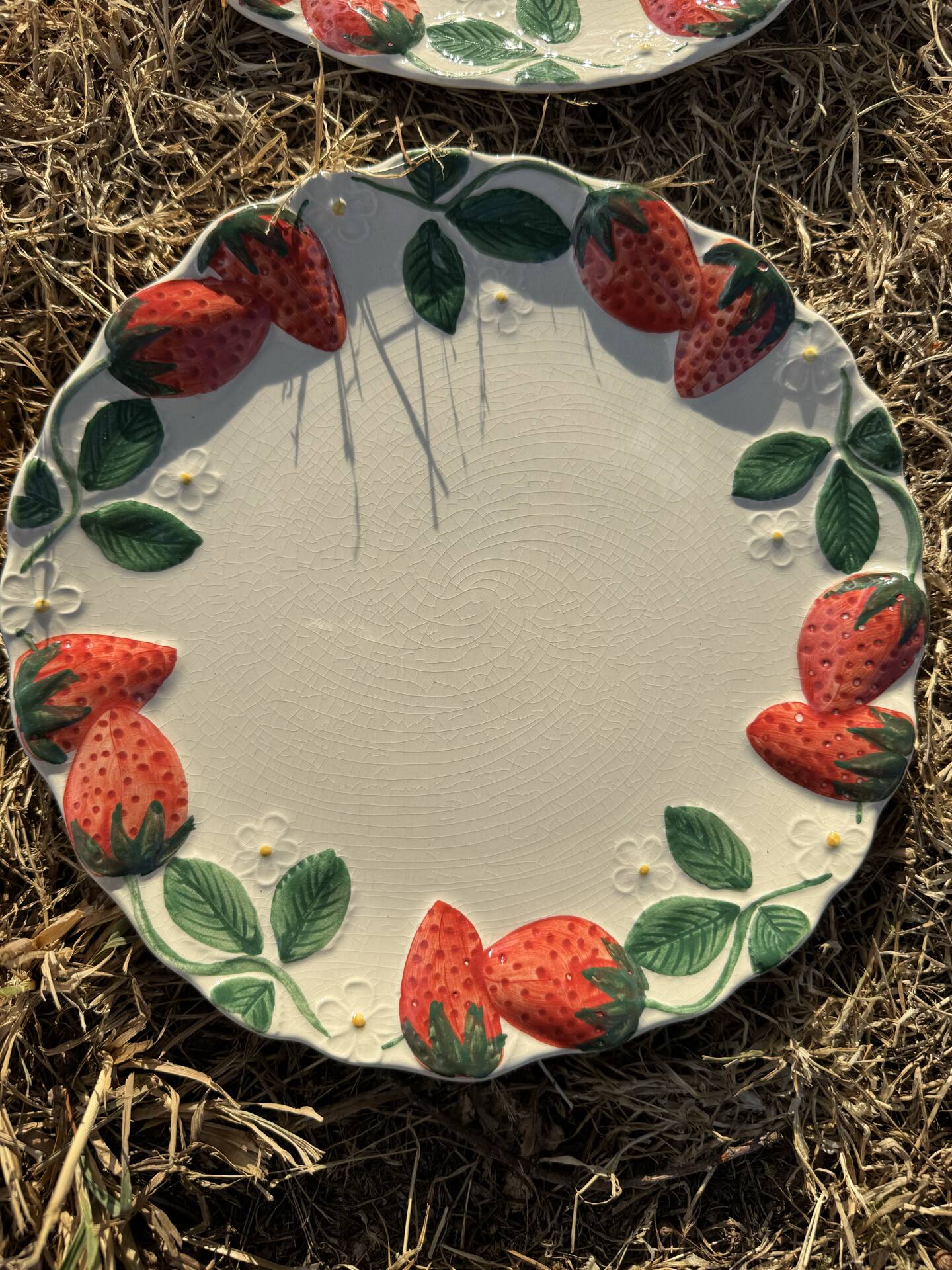 Longchamp antique strawberry barbotine plates
