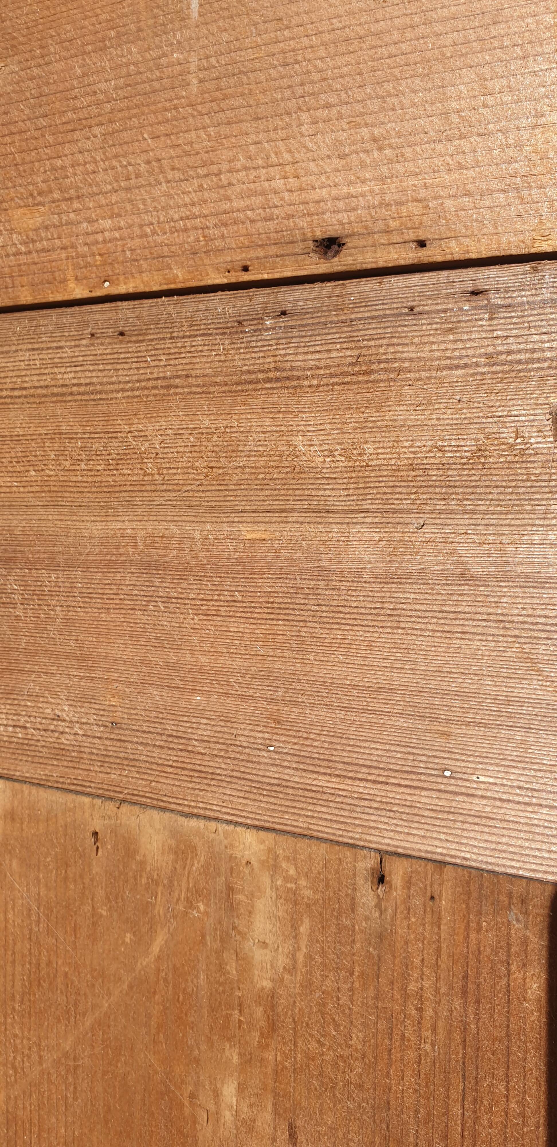 Arched (rounded) Pine Door with Two Leaves - Late 19th Century