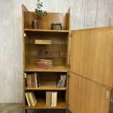 Mlodernist shelf
