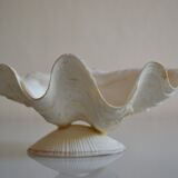 Clam shell in empty pocket