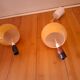 Suspension in opaline water droplet