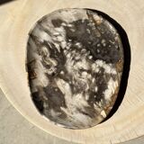 Very large empty pocket or dish in medium light petrified wood 1143