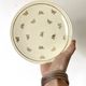 Cream and gold Limoges porcelain dessert plates