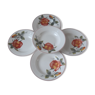 Set of 5 hollow plates Digoin Sarreguemines Maréchale Niel 40s