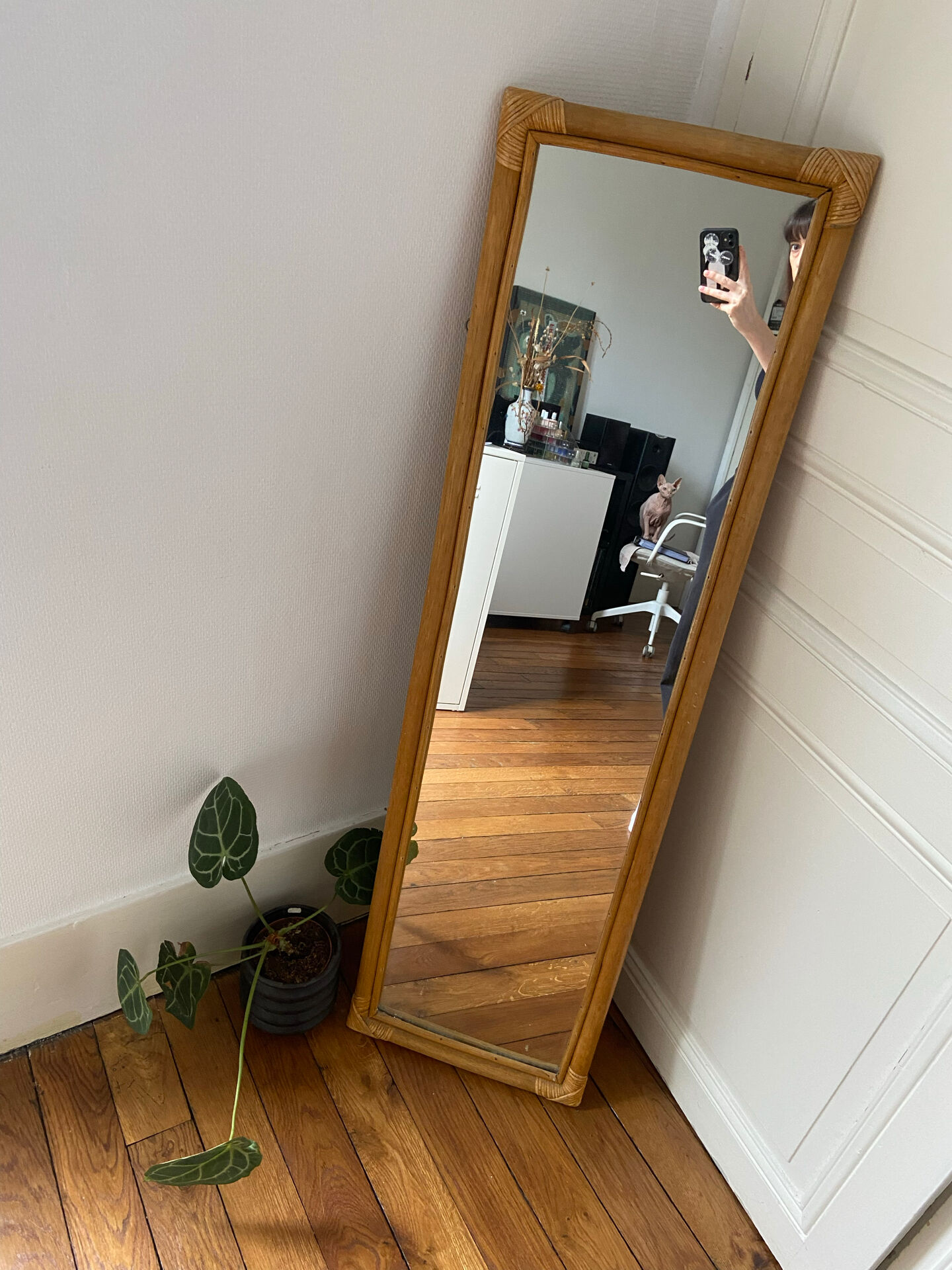 Rattan mirror