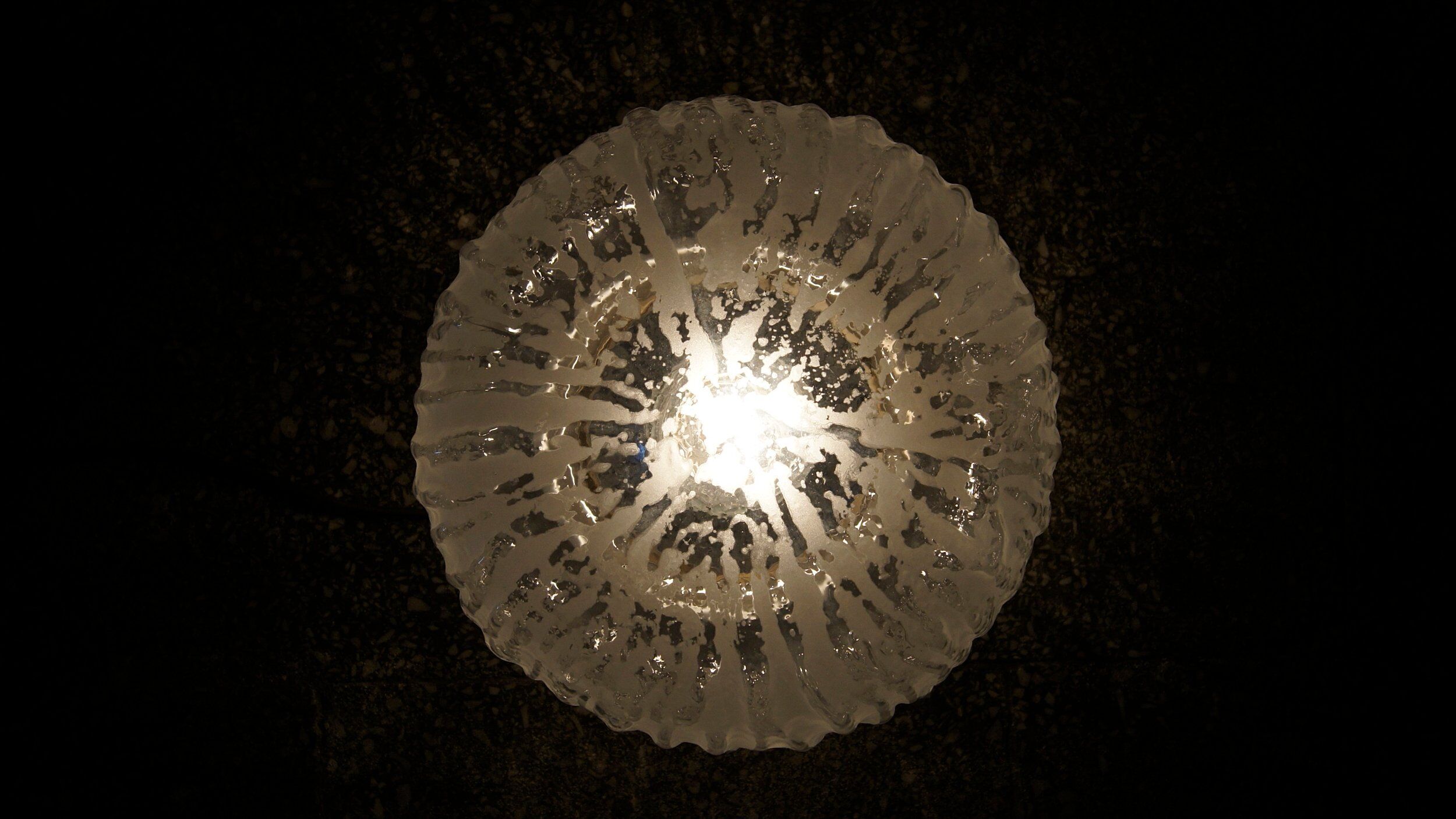 Mid-Century Sconce from Egon Hillebrand, 1960s