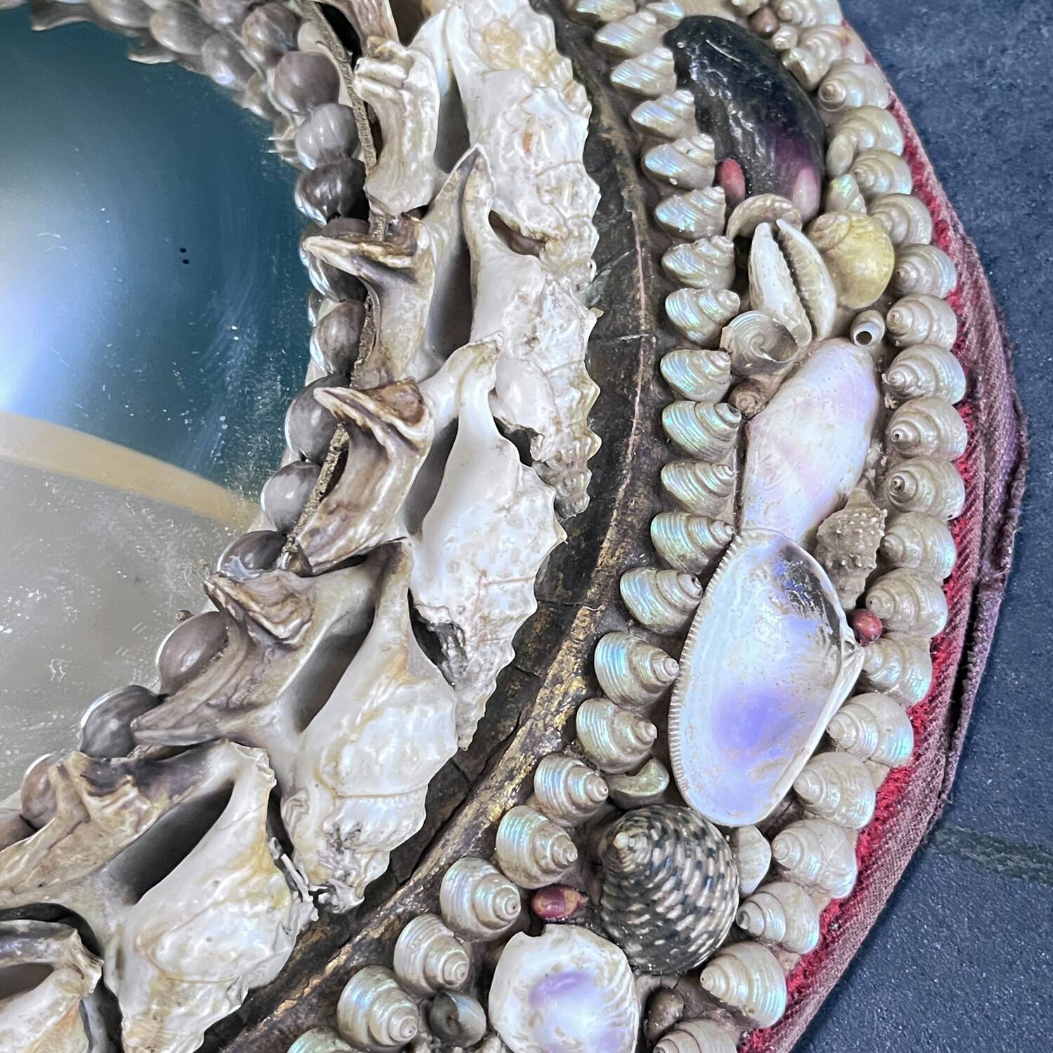 Shell mirror from the 50s