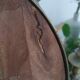 Brass psyche mirror