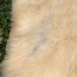 Sheepskins