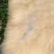 Sheepskins