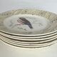 7 assiettes anciennes à décor d’oiseaux