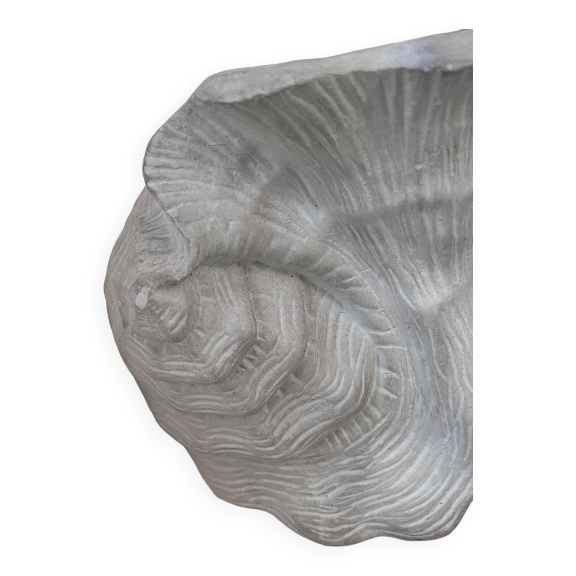 Paire d'applique coquillage vintage, plâtre blanc mat, France 1940