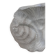 Pair of vintage shell wall lights, matte white plaster, France 1940