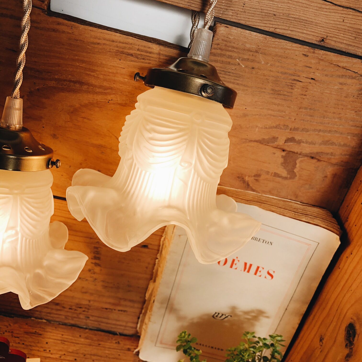 Duo of draped "tulips" walkmen