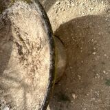 Cement planter