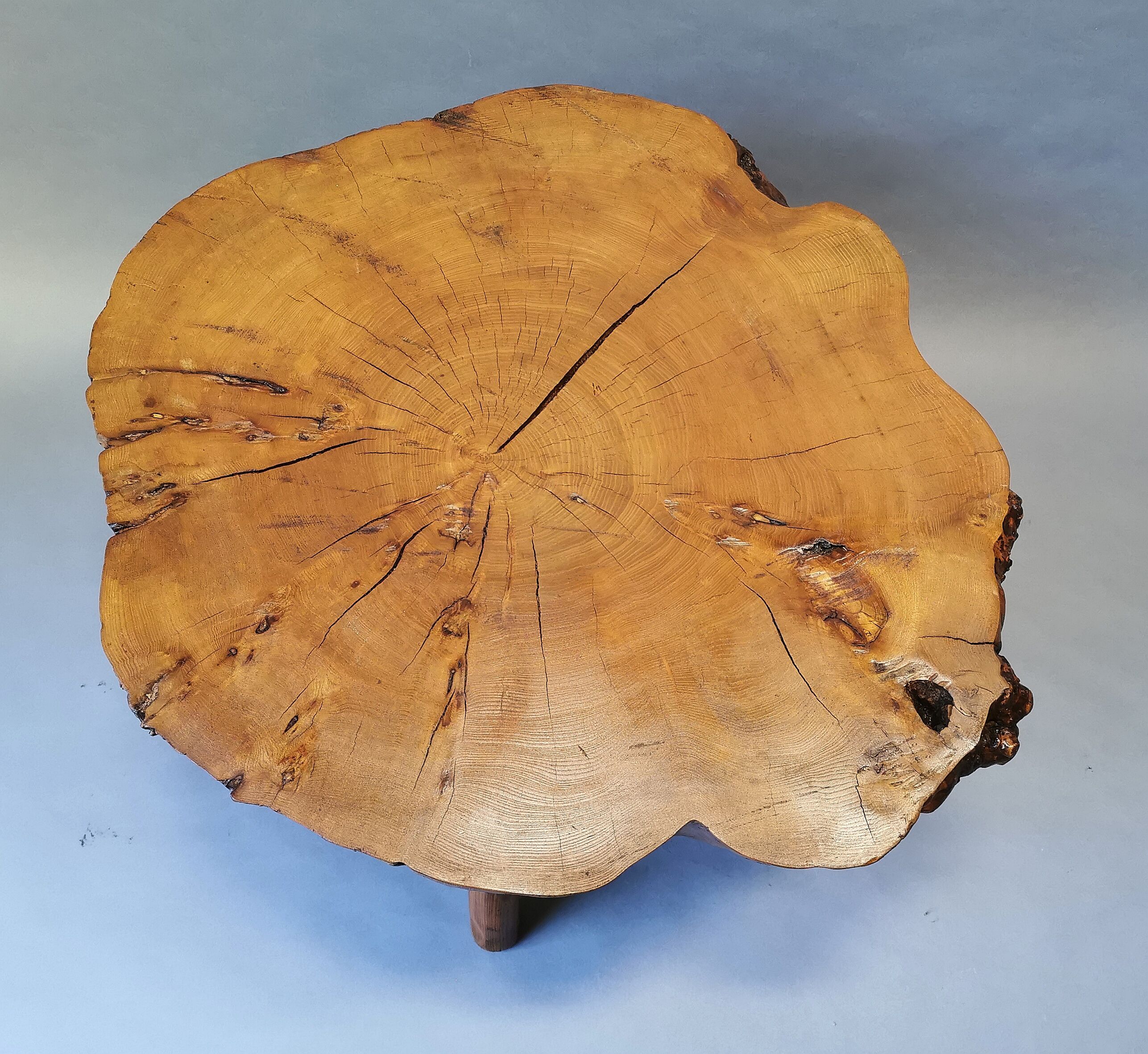 Coffee table elm tree trunk 70s