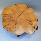 Coffee table elm tree trunk 70s