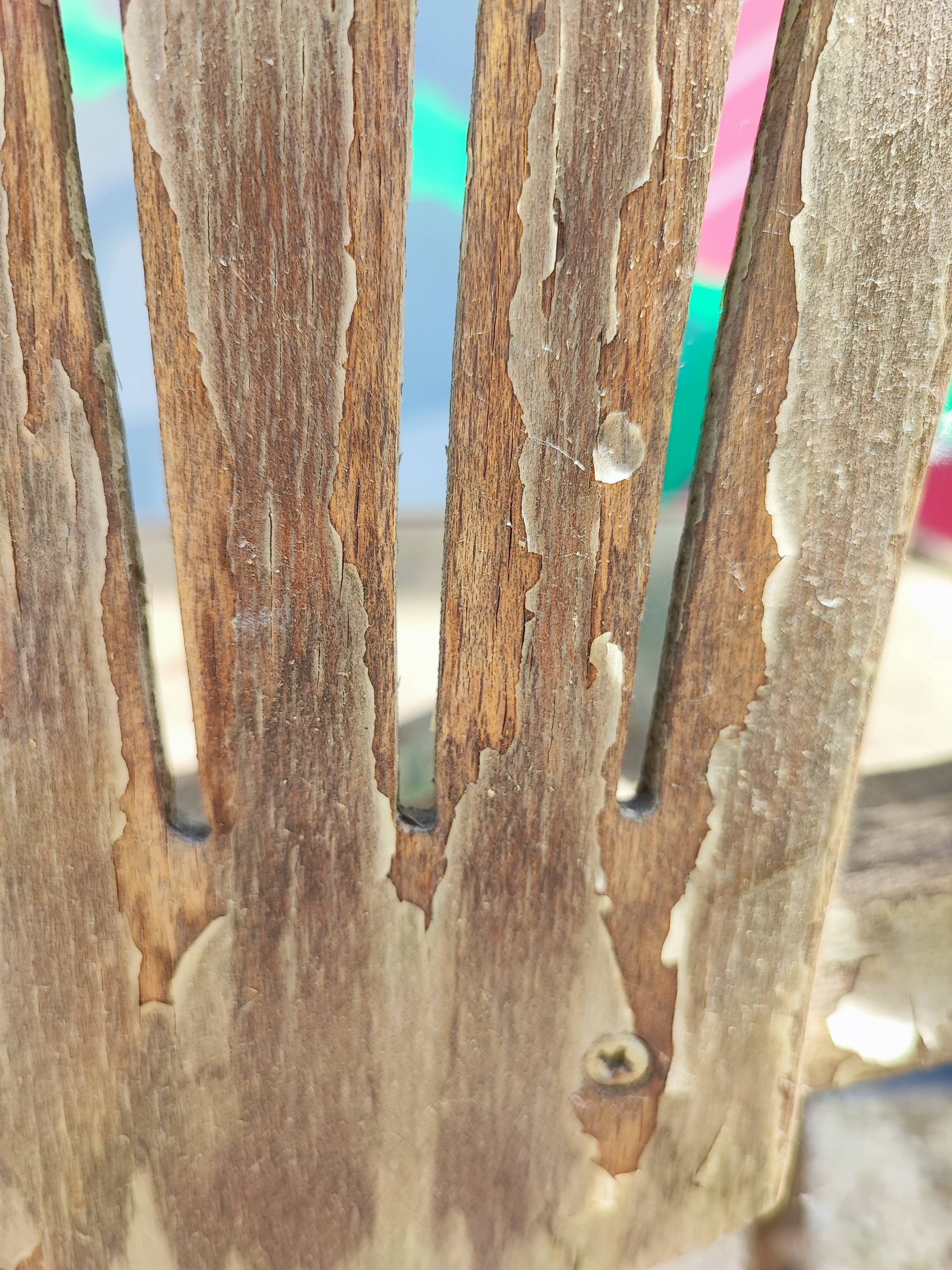 Tabouret de bar en bois courbé