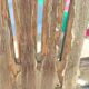 Curved wooden bar stool