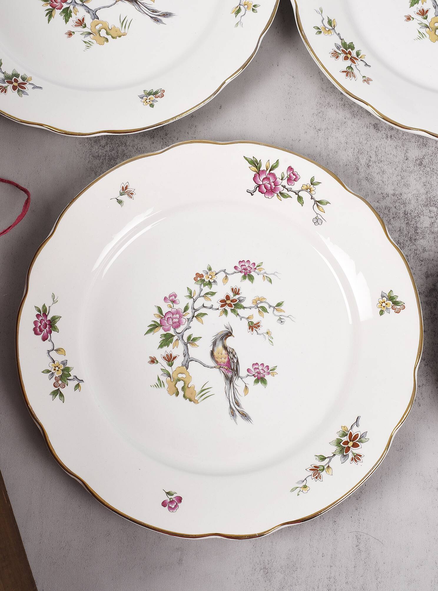 Set of 6 flat plates, Condé de Digoin Sarreguemines model.