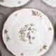 Set of 6 flat plates, Condé de Digoin Sarreguemines model.