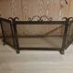 Chimney fire screen