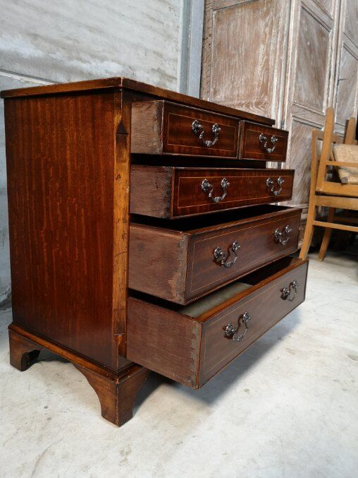 English mahogany chest of drawers 1960/1970