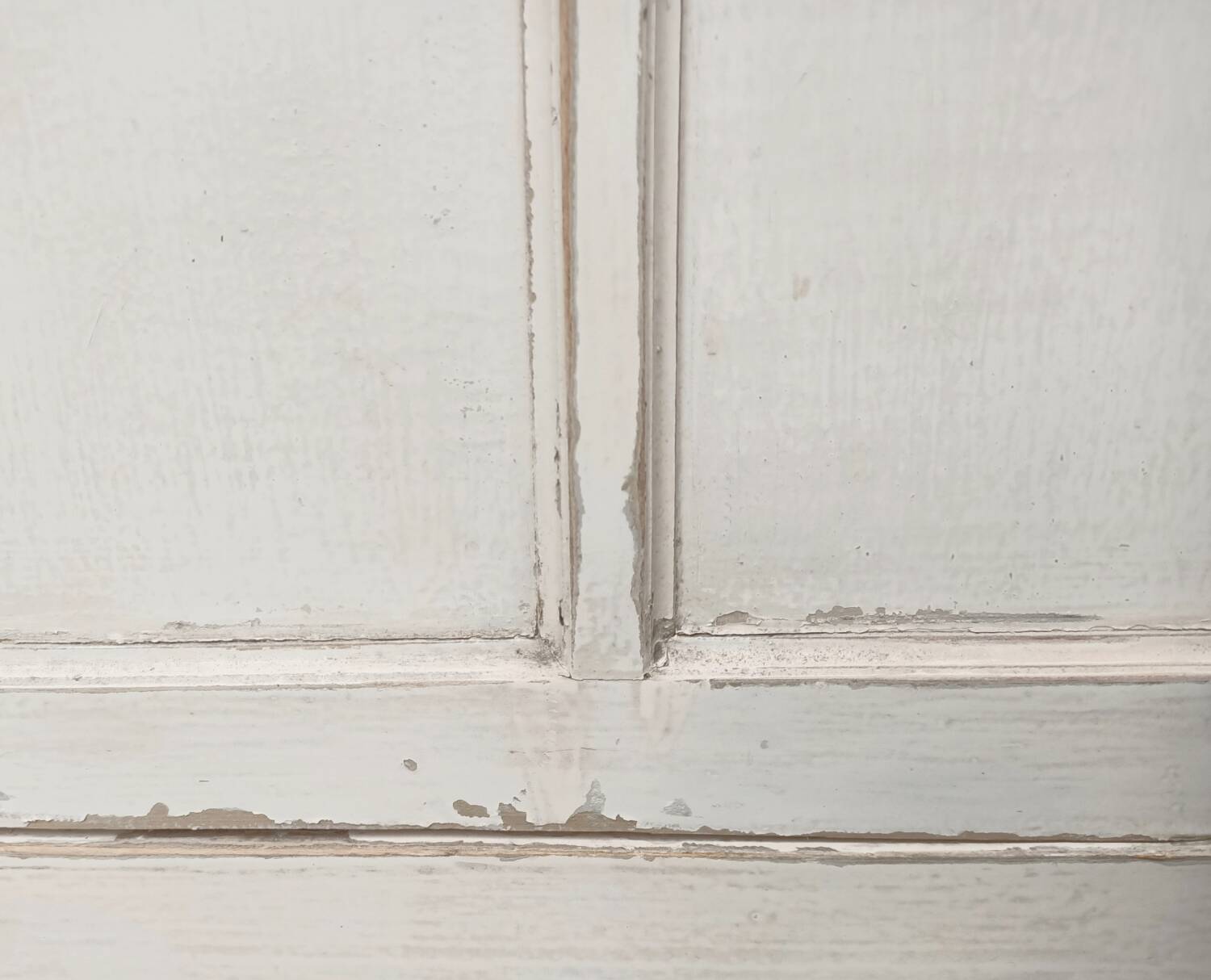 XXL Parisian wardrobe