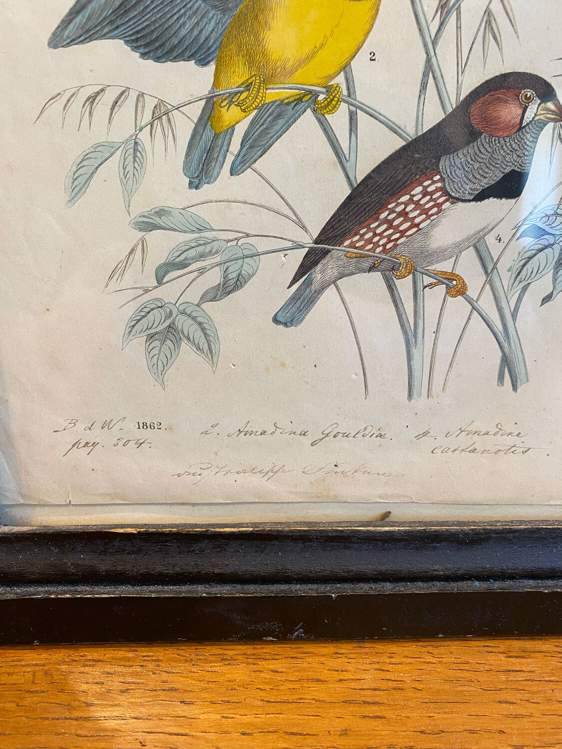 Set of decorative frames