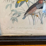 Set of decorative frames