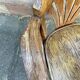 Office armchair curved wood