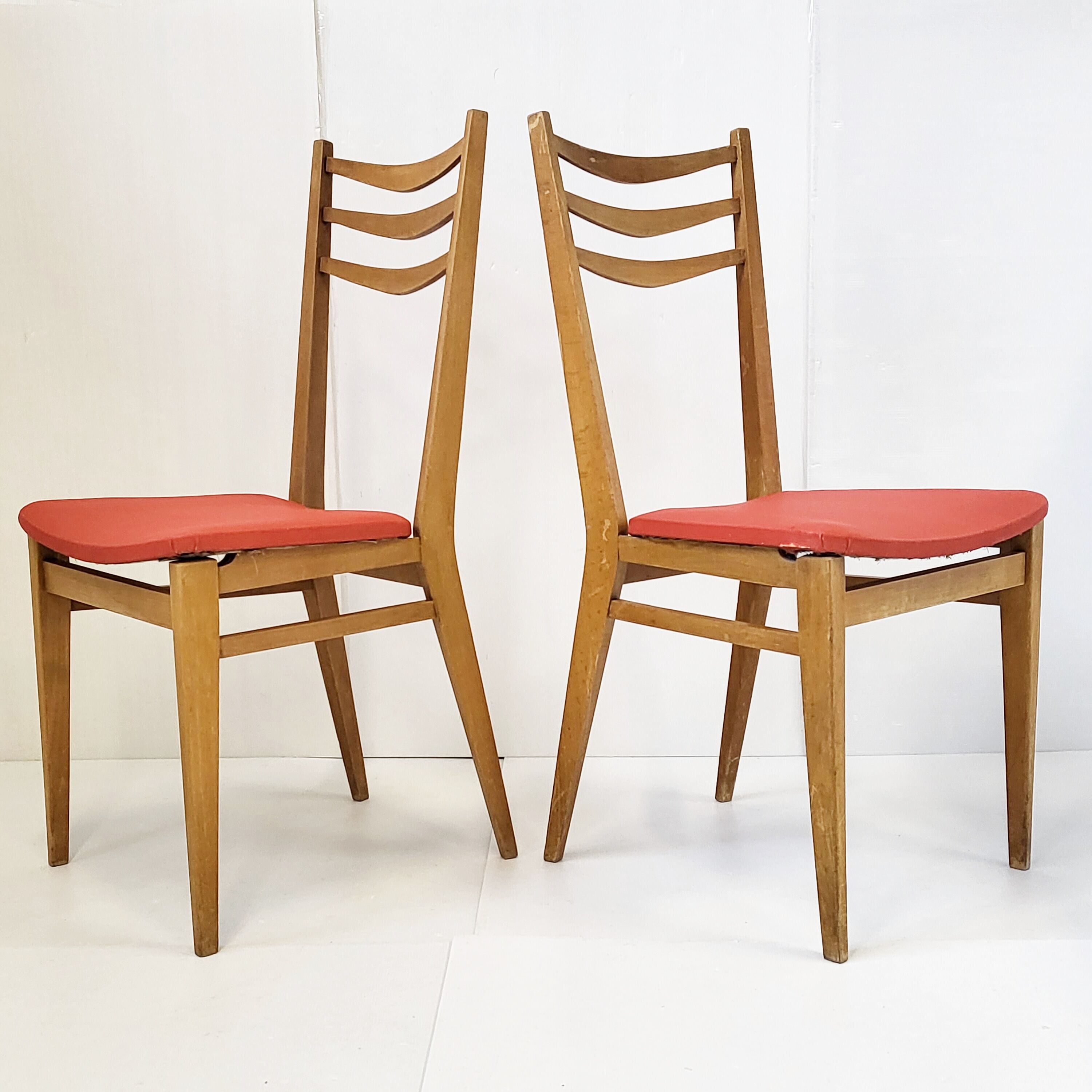 Suite of 5 chairs 1950