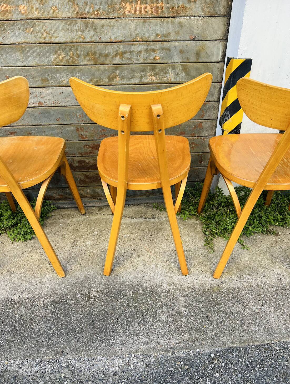 (Lot) 6 Bistro Chairs Lutherma Banana (Light Oak)