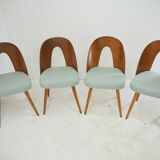 1960s Antonin Suman Dining Chairs , Set of 4
