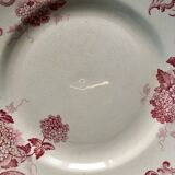 "Snowball" plates in ironstone by Amand and Hamage